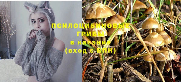 PSILOCYBIN Лихославль