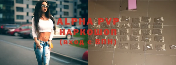 прущие грибы Новый Уренгой