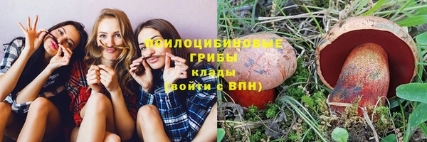 гидра Лиски