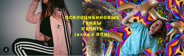 гидра Лиски