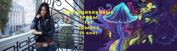 PSILOCYBIN Лихославль