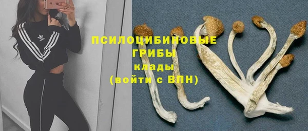 гидра Лиски