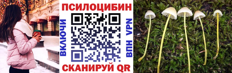 ОМГ ОМГ сайт  купить наркоту  Самара  Галлюциногенные грибы Psilocybine cubensis 