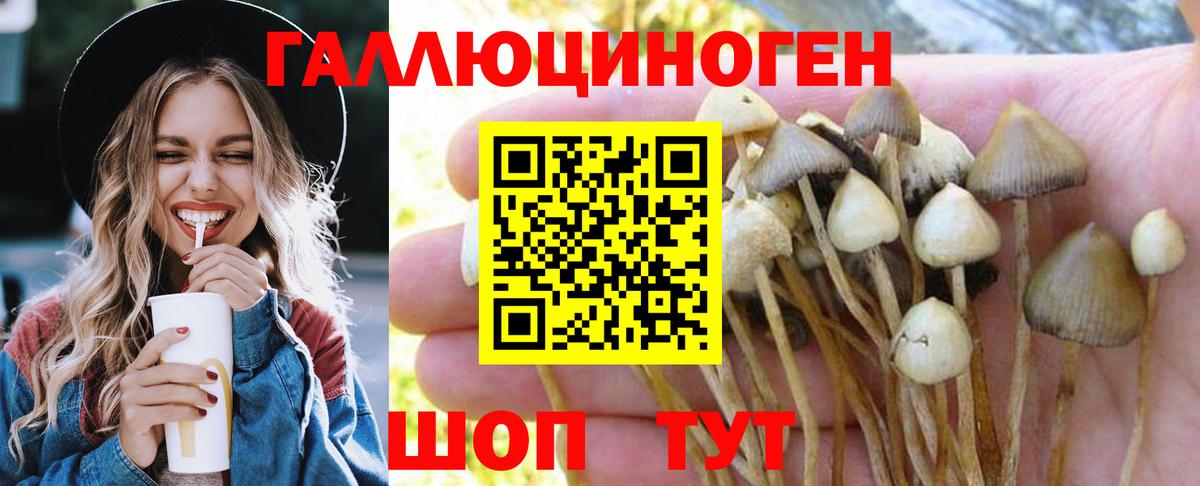 Самара  Псилоцибиновые грибы ЛСД  Вход с VPN 