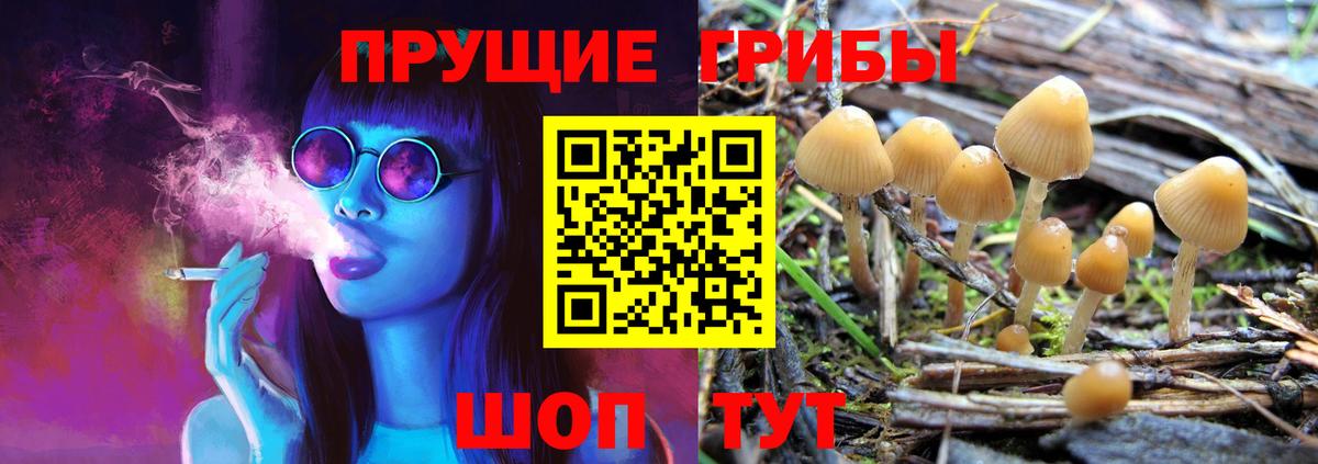 Псилоцибиновые грибы прущие грибы Самара