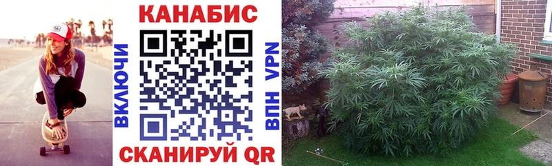 МАРИХУАНА гибрид  Самара 